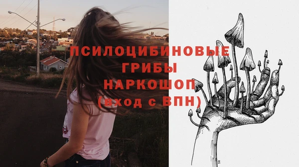 мяу мяу мука Надым