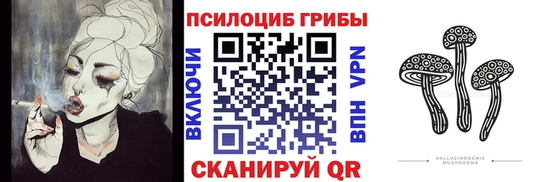 Псилоцибиновые грибы ЛСД  цены   Нижняя Салда 